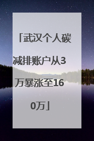 武汉个人碳减排账户从3万暴涨至160万
